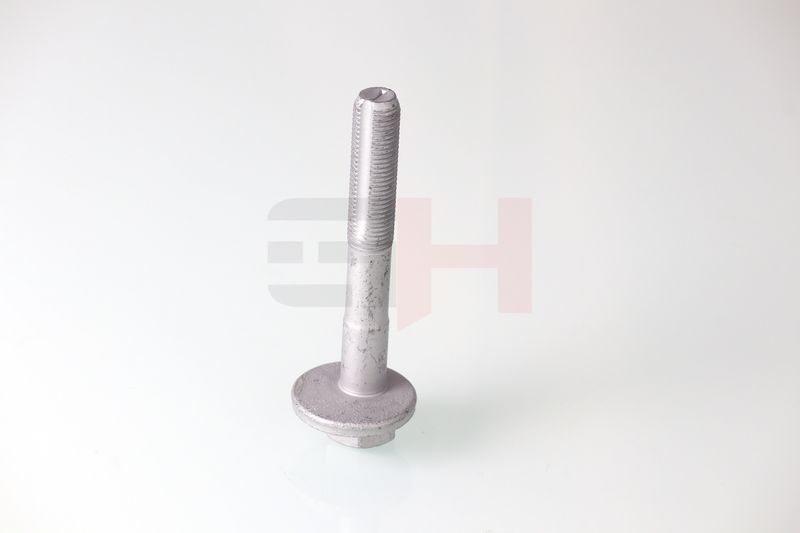 GH GH-399901 Camber Correction Screw