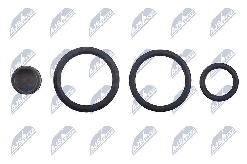 NTY BWP-WW-013 Repair Kit, unit injector