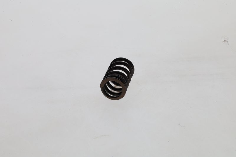 Arc 1 424 619 025 BOSCH