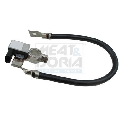 MEAT & DORIA Sensor, accumanagement 241019