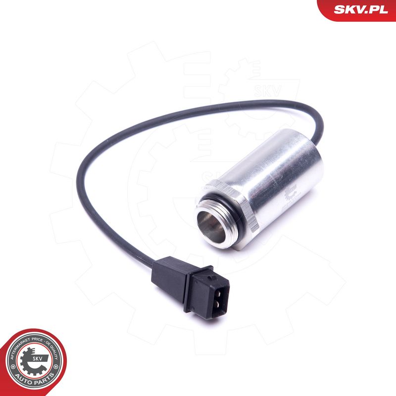 Juhtklapp, nukkvõlli asend, ESEN SKV 39SKV048