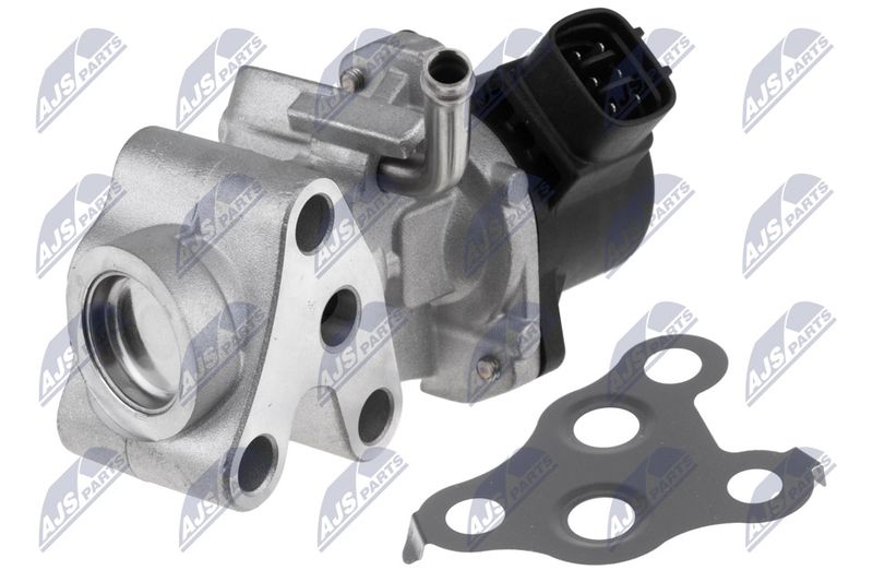 EGR-TY-018_1-WM.JPG