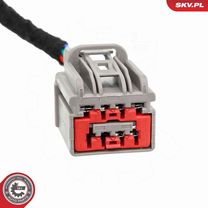 ESEN SKV 52SKV279 Electric Motor, tailgate