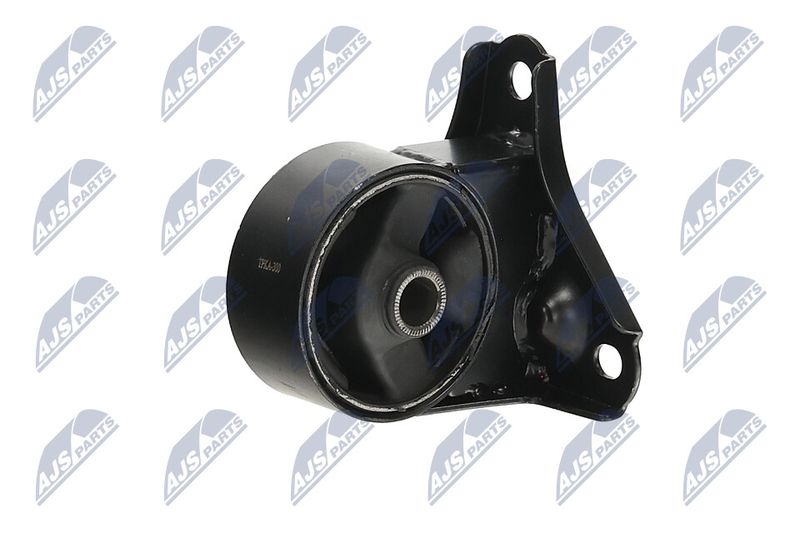 Paigutus, Mootor, NTY ZPS-KA-300