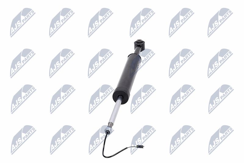 Amort, NTY A-MA-002