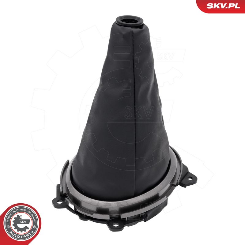 Käigukanginupp, ESEN SKV...