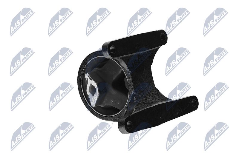 Paigutus, Mootor, NTY ZPS-CH-008