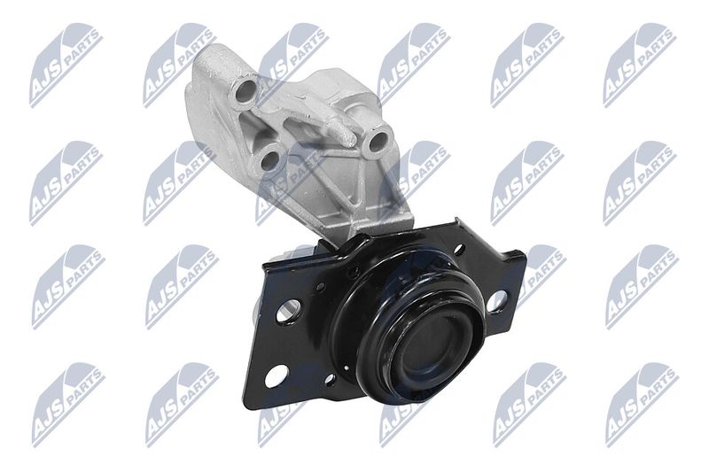 NTY ZPS-RE-071 Mounting, engine