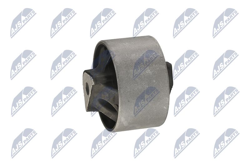 Paigutus, Mootor, NTY ZPS-CH-040