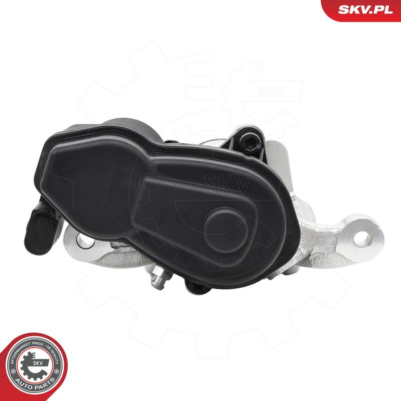 Pidurisadul, ESEN SKV 79SKV593