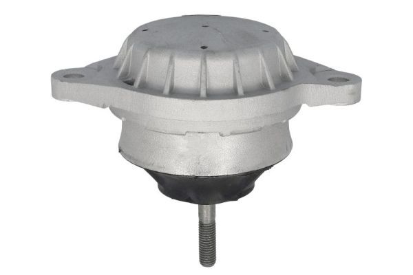 REINHOCH RH11-0184 Mounting, engine