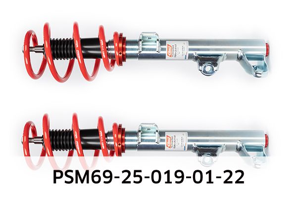 EIBACH PSM69-25-019-01-22