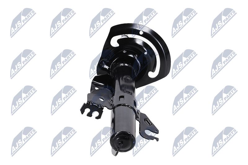 Amort, NTY A-CH-083