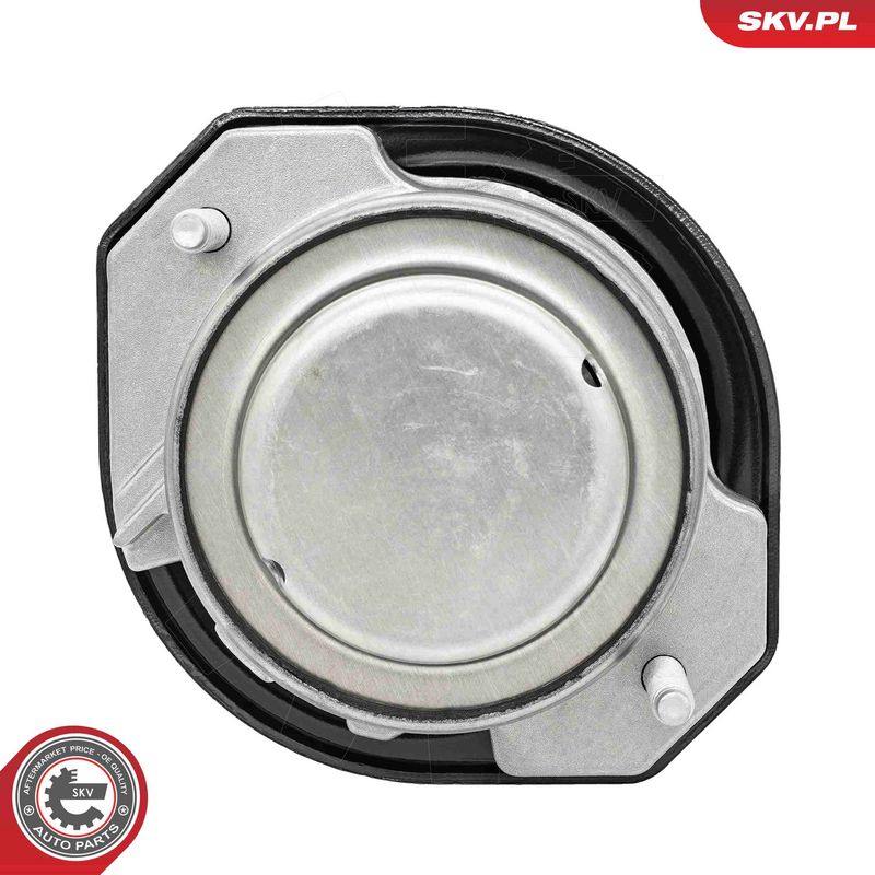 Paigutus, Mootor, ESEN SKV 75SKV126