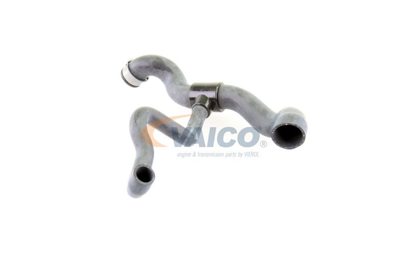 VAICO V30-1660 Radiator Hose