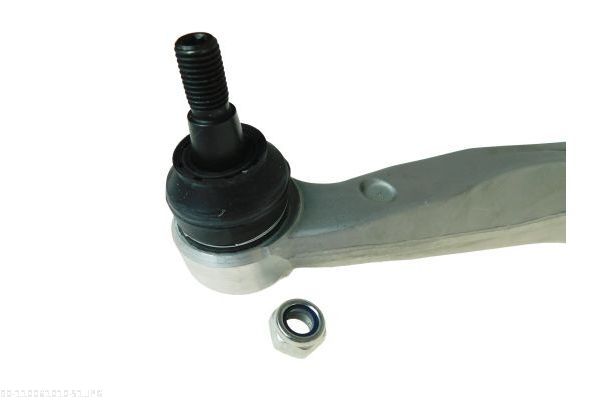 AUTOMEGA 110061010 Control/Trailing Arm, wheel suspension