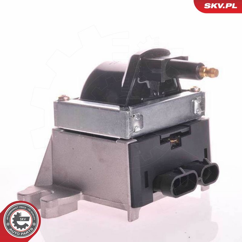 ESEN SKV 03SKV189 Ignition Coil