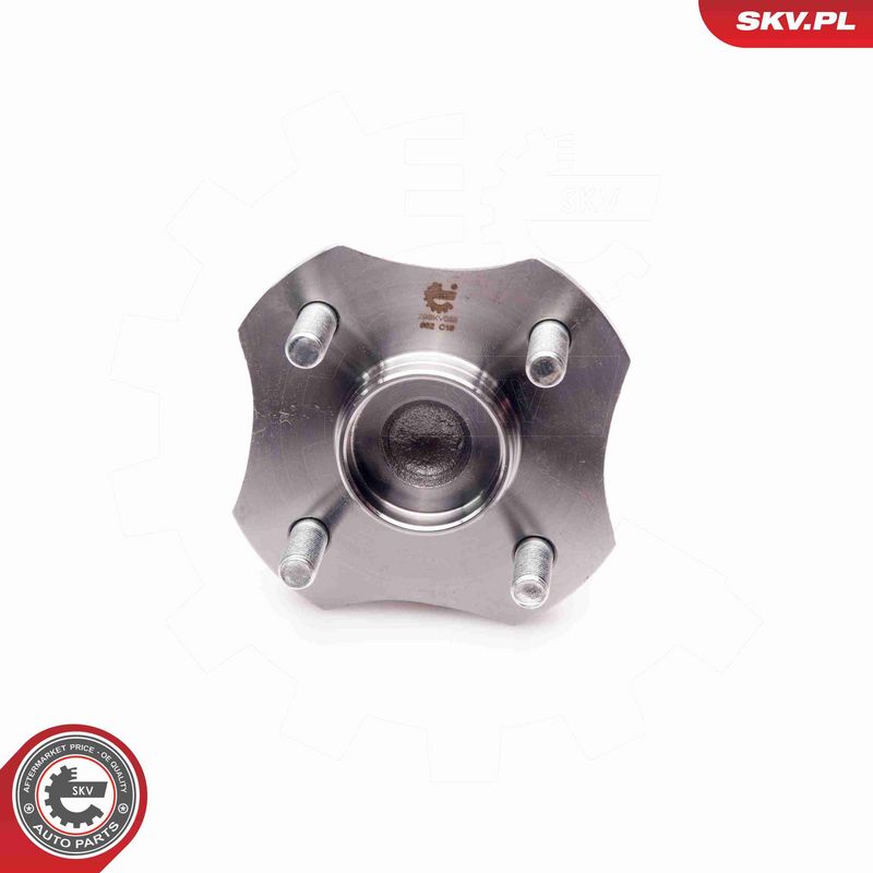 ESEN SKV 29SKV063 Wheel Bearing Kit