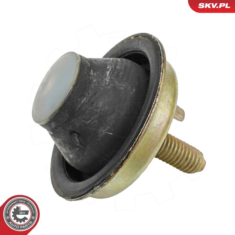 Paigutus, Mootor, ESEN SKV 75SKV101