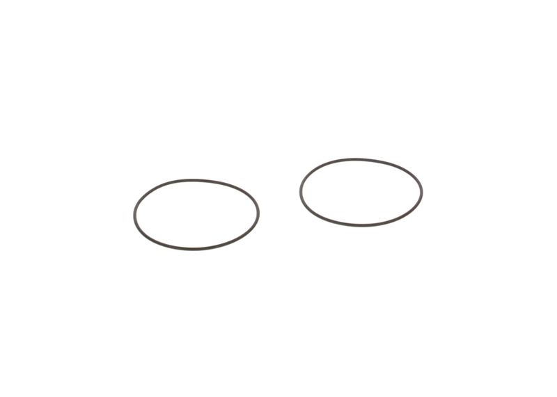 BOSCH 3130210005 Seal