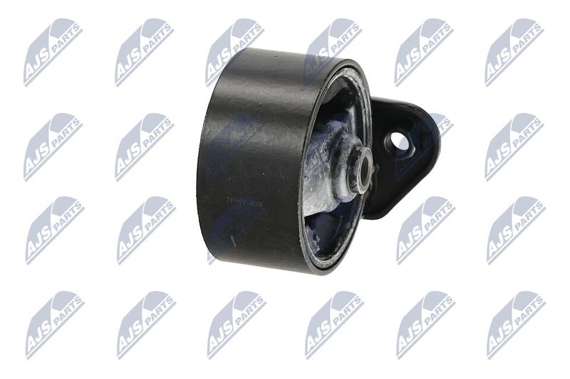 Paigutus, Mootor, NTY ZPS-HY-503