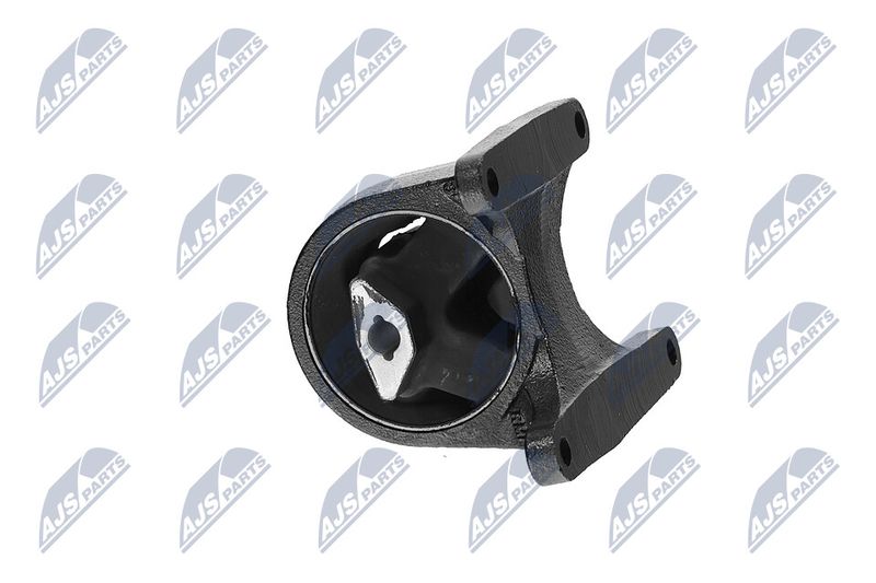 Paigutus, Mootor, NTY ZPS-CH-008