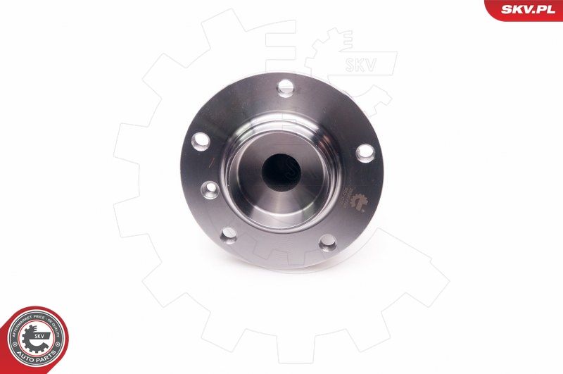 ESEN SKV 29SKV033 Wheel Bearing Kit