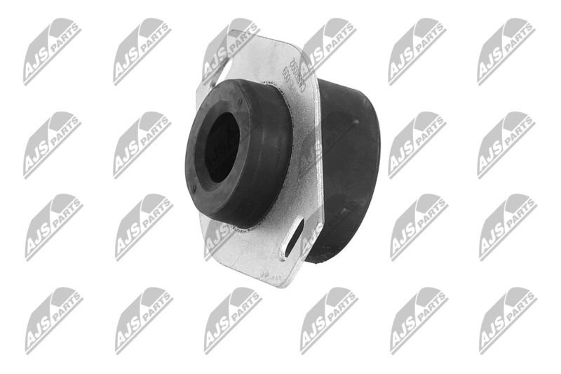 Paigutus, Mootor, NTY ZPS-PE-009