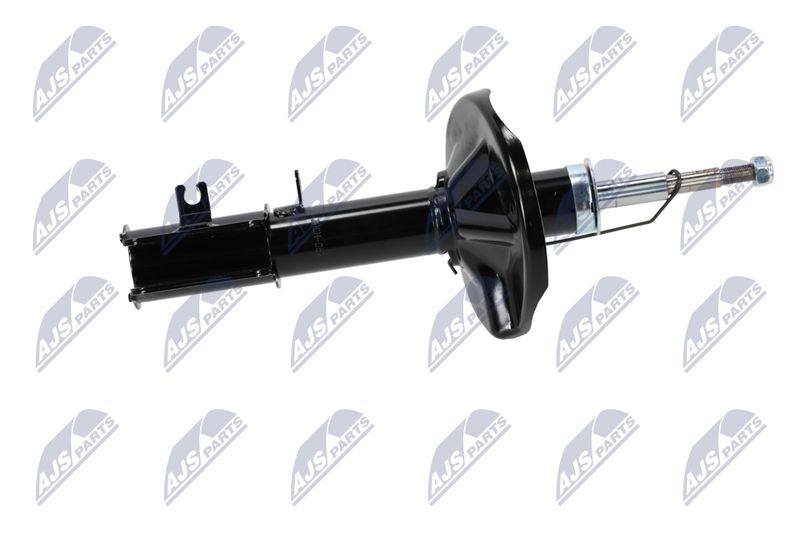 Amort, NTY A-CH-053