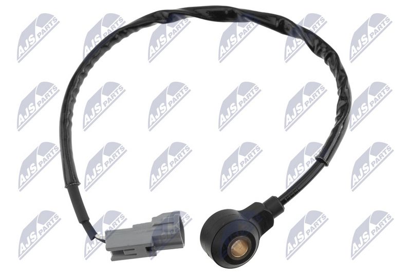 Detonatsiooniandur, NTY ESS-SU-002