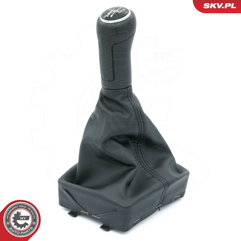 Käigukanginupp, ESEN SKV...