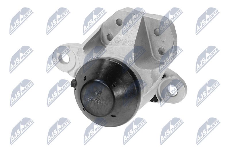 Paigutus, Mootor, NTY ZPS-FR-053