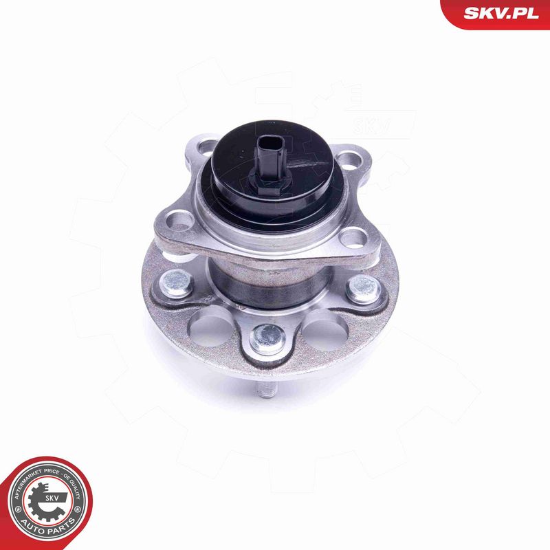 ESEN SKV 29SKV395 Wheel Bearing Kit