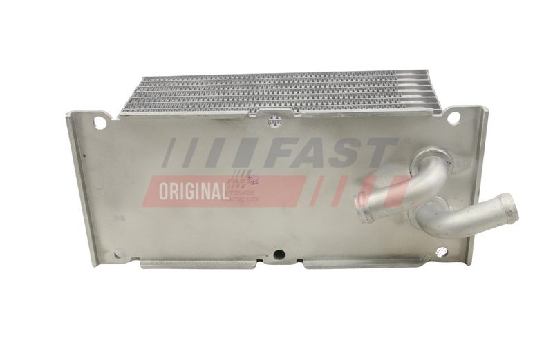 FAST FT55428 Variklio alyvos aušintuvas