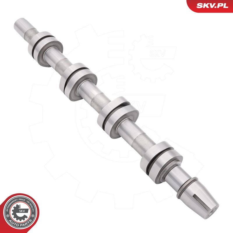 Nukkvõll, ESEN SKV 80SKV029