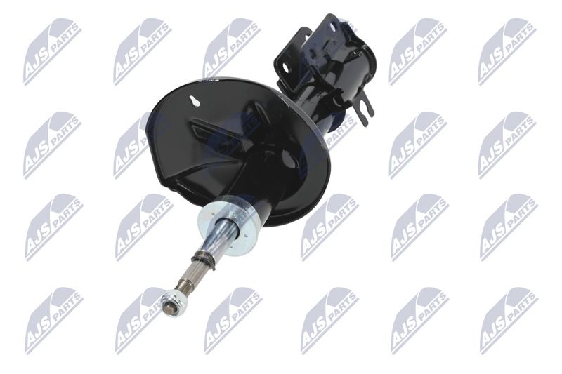 Amort, NTY A-CH-052