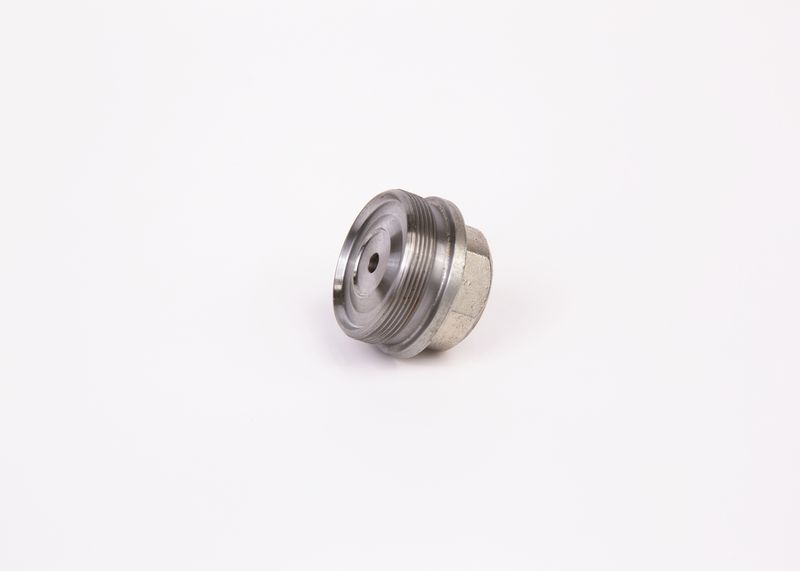 BOSCH F002D12533 Screw