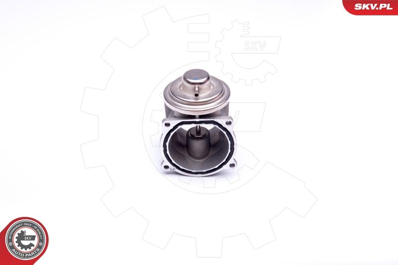 ESEN SKV 14SKV108 EGR Valve