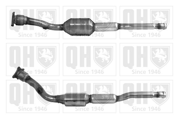 QH_QCAT90312H.JPG
