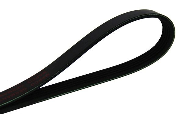 MAPCO 251005 V-ribbed Belt