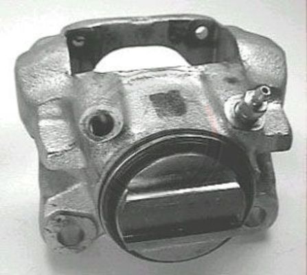 525681.JPG