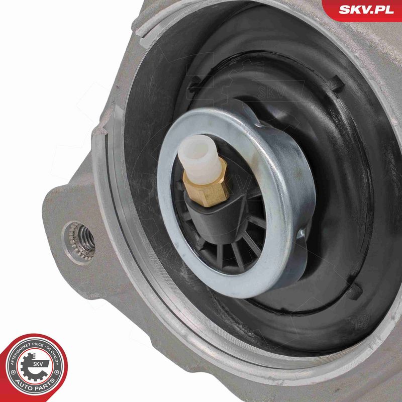 ESEN SKV 58SKV096 Air Suspension Strut