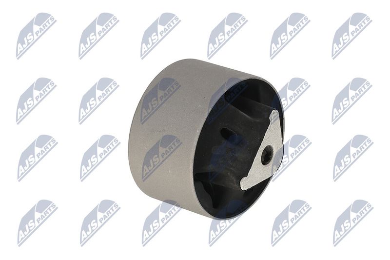 Paigutus, Mootor, NTY ZPS-CH-039