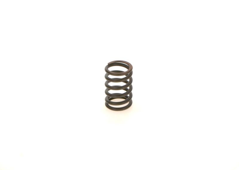 BOSCH 1414619025 Spring