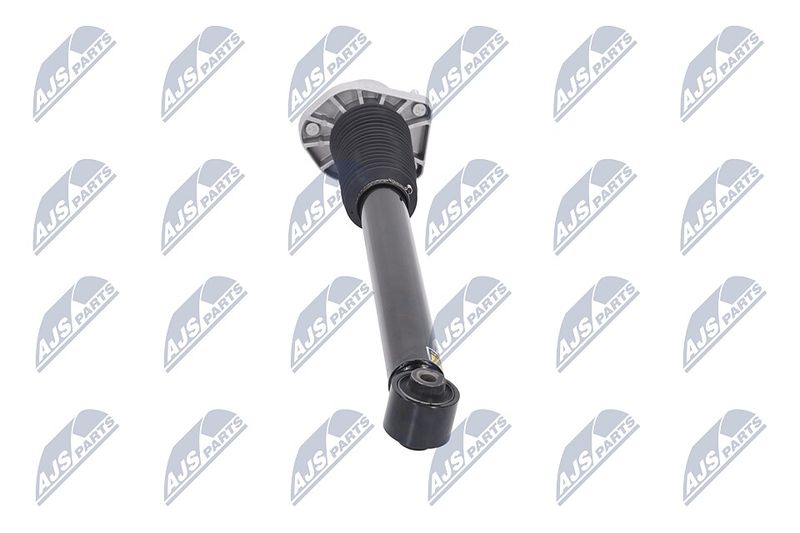 Amort, NTY A-LR-015