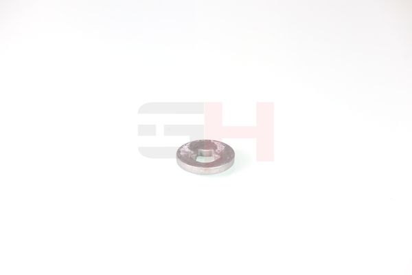 caster shim, sillatala, GH GH-391582
