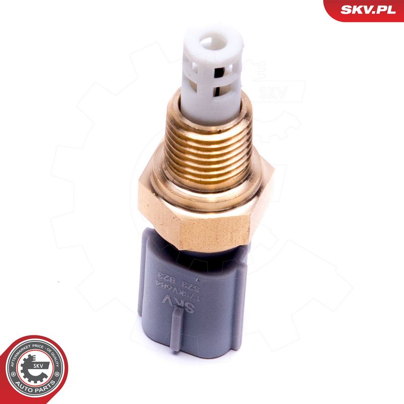 Andur, sisendõhu temperatuur, ESEN SKV 17SKV684