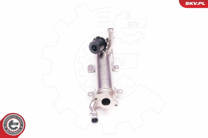 ESEN SKV 14SKV123 EGR Valve