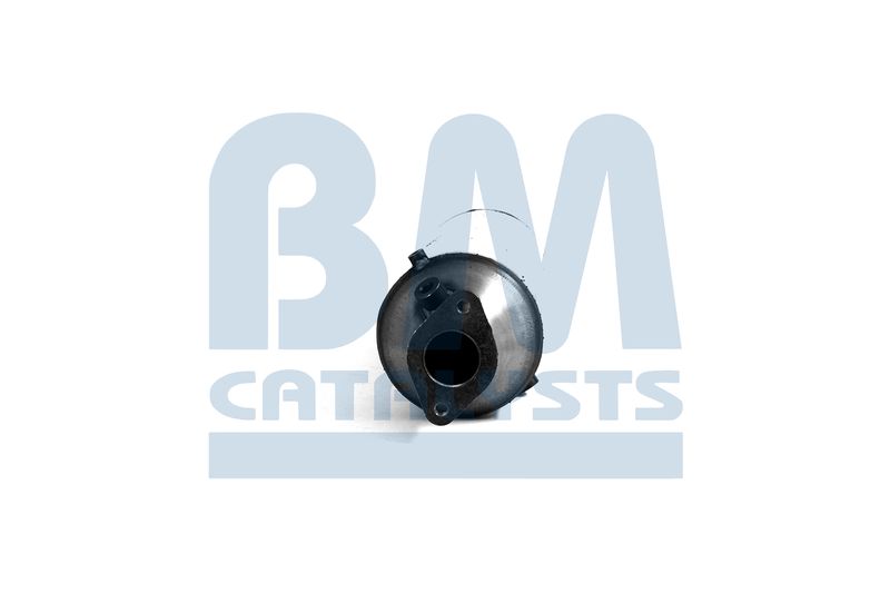 BM Catalysts BM11080H Протисажний/пиловий фільтр, система відведення ВГ