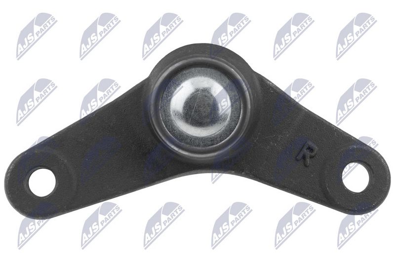 Kande-, juhtliigend, NTY ZSD-BM-005